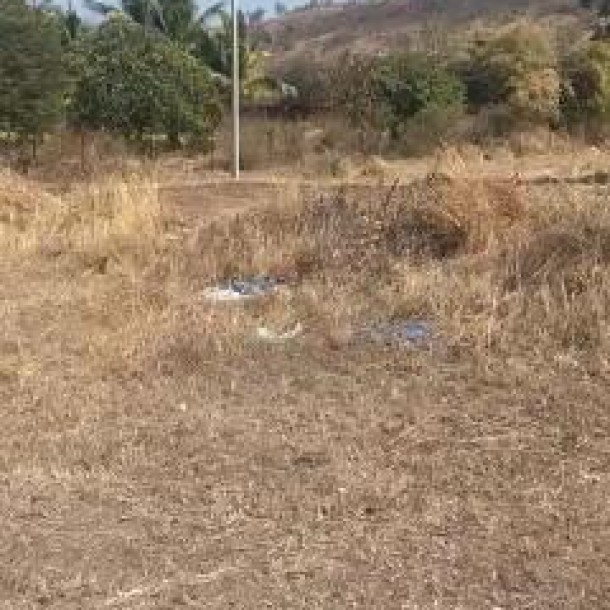 Prime Plot for Sale in Ketkawale, Pune District - Your Ideal Investment Opportunity!-4