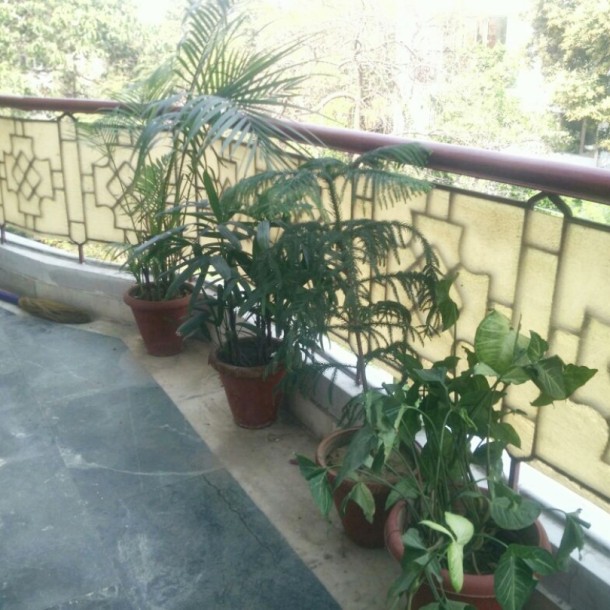 1BHK  GULMOHAR PARK-1