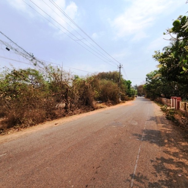 3990sqmt Settlement Plot for Sale in Assagao, North-Goa. (35.91Cr)-1