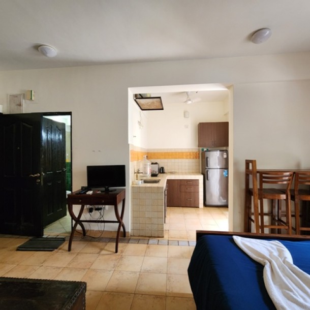 Studio flat 92sqmt with terrace for Sale in Calangute, North-Goa. (45L)-3