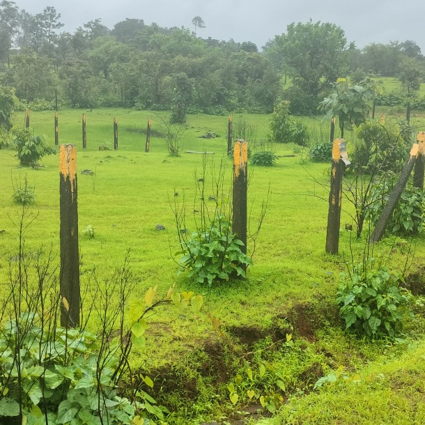 4475 sqft NA Plot for sale on murbad karjat highway near Mumbai 14 lac-0