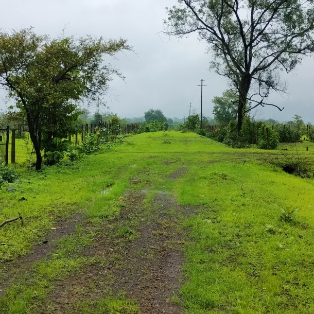 4475 sqft NA Plot for sale on murbad karjat highway near Mumbai 14 lac-1