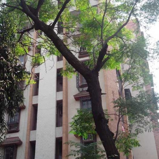 Rental 4BHK at Kingston-0