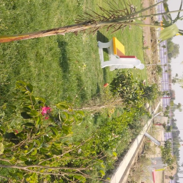Plot in Lucknow  1250 sqft-3