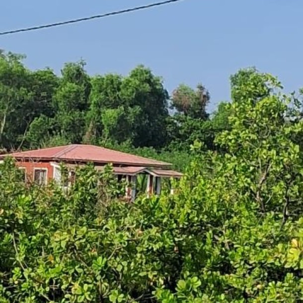 Farmhouse for Sale in Dapoli Near Konkan Krishi Vidyapeeth – ₹20L per Acre-4