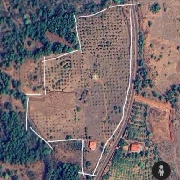 Farmhouse for Sale in Dapoli Near Konkan Krishi Vidyapeeth – ₹20L per Acre-2