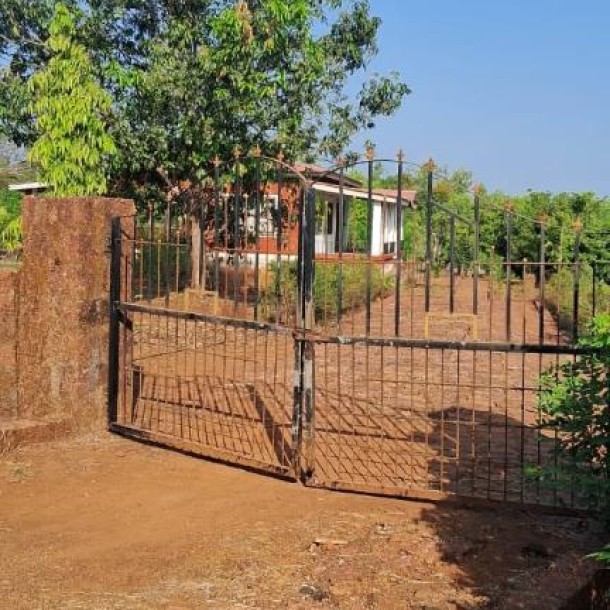 Farmhouse for Sale in Dapoli Near Konkan Krishi Vidyapeeth – ₹20L per Acre-1