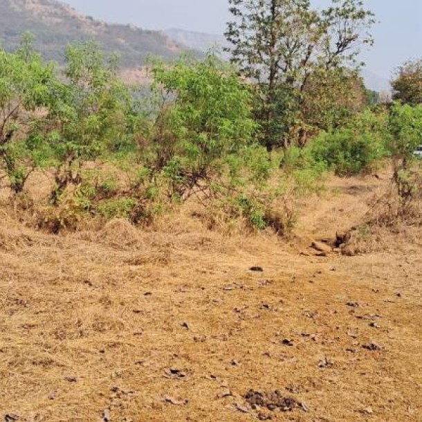 840 Acre Resale Property for Sale in Khed, Konkan – ₹2L/Acre Near Mumbai-Goa Hwy-13