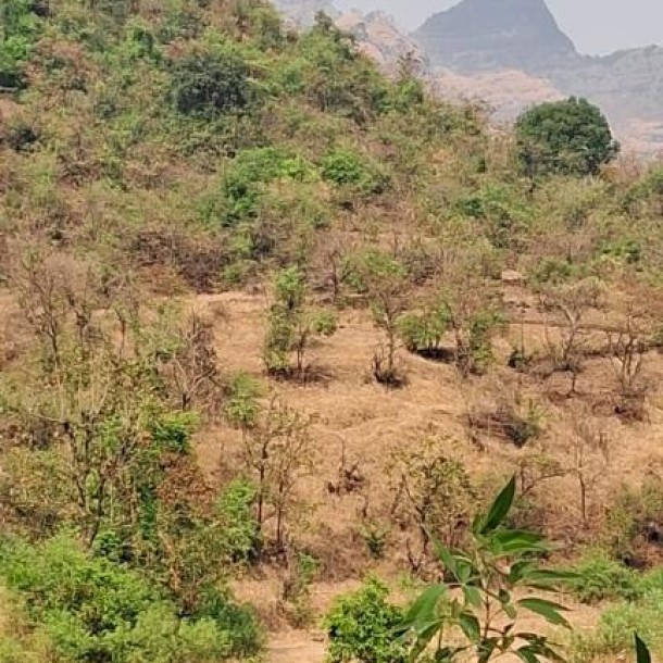 840 Acre Resale Property for Sale in Khed, Konkan – ₹2L/Acre Near Mumbai-Goa Hwy-11