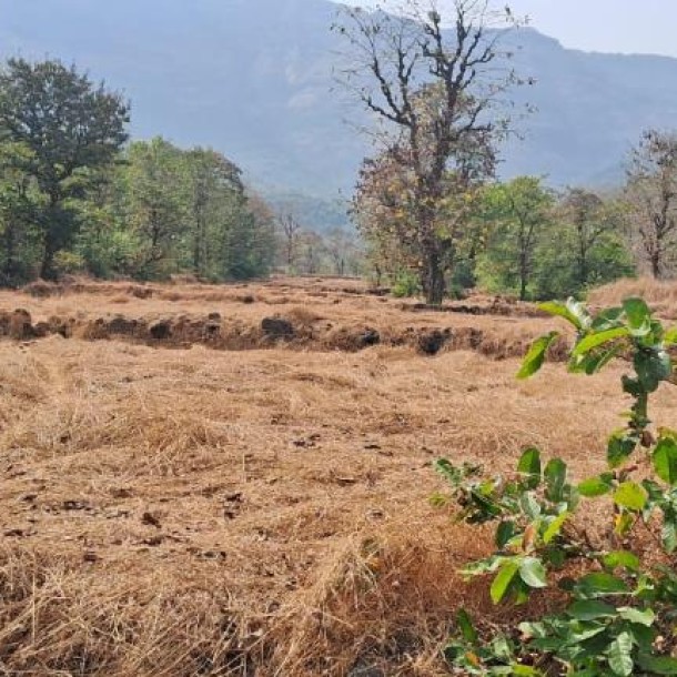 840 Acre Resale Property for Sale in Khed, Konkan – ₹2L/Acre Near Mumbai-Goa Hwy-10