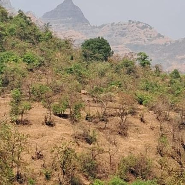 840 Acre Resale Property for Sale in Khed, Konkan – ₹2L/Acre Near Mumbai-Goa Hwy-8
