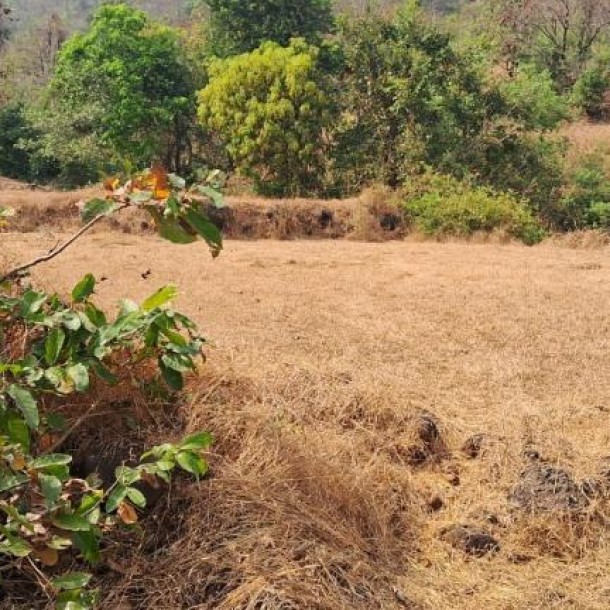 840 Acre Resale Property for Sale in Khed, Konkan – ₹2L/Acre Near Mumbai-Goa Hwy-7
