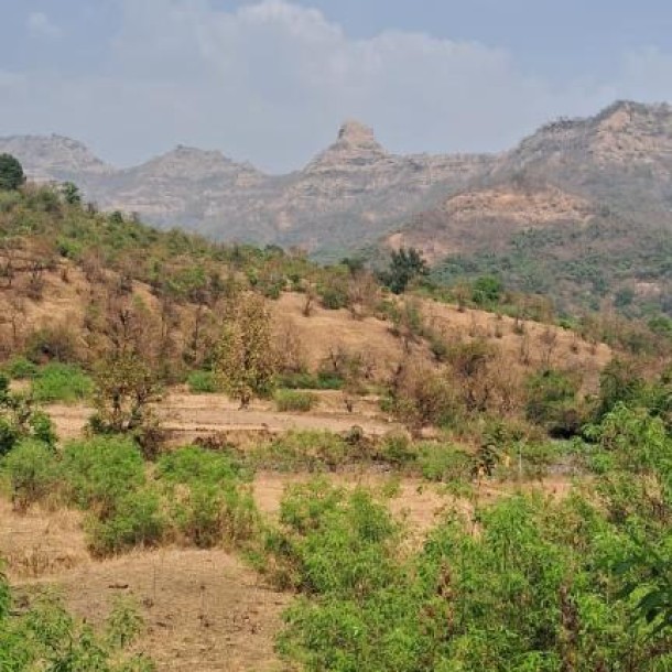 840 Acre Resale Property for Sale in Khed, Konkan – ₹2L/Acre Near Mumbai-Goa Hwy-4