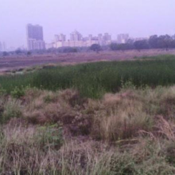 Thane East - 164 Acres Vacant Land for Sale, 5 Mins from Station - ₹2000 Cr-1