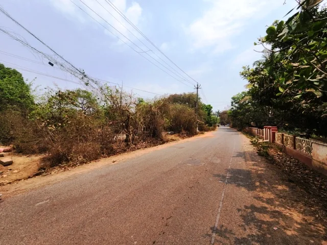 3990sqmt Settlement Plot for Sale in Assagao, North-Goa. (35.91Cr)
