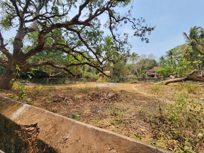 2400sqmt Settlement Plot for Sale in Siolim, North-Goa.(15.60Cr)