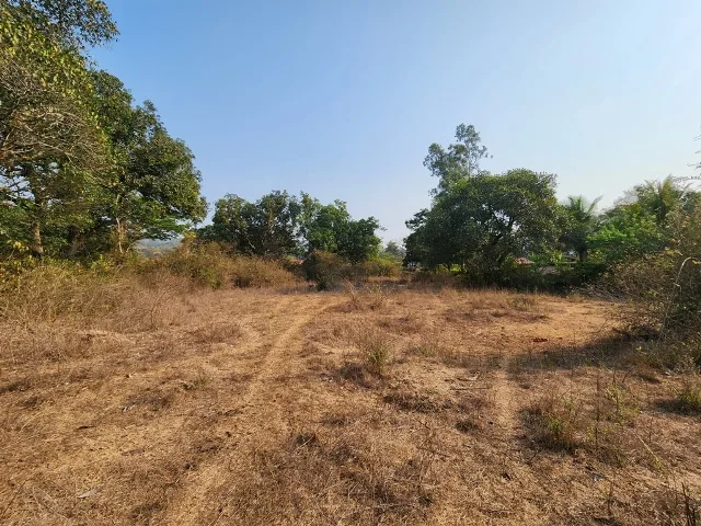 7575sqmt Settlement Plot for Sale near Banastari, North-Goa.(10Cr)