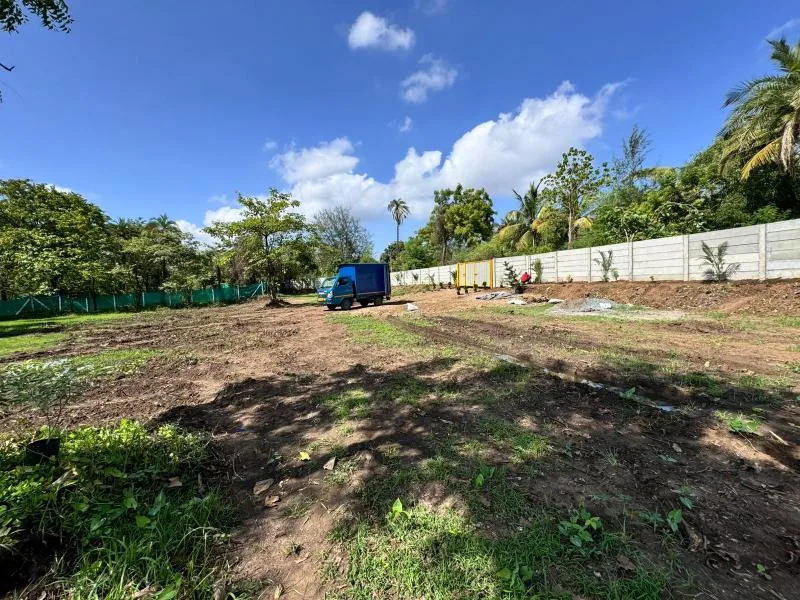 Tadgam, Umbergaon (Umargam) - 1 Acre Beachfront Plot for Sale - ₹1.4 Cr