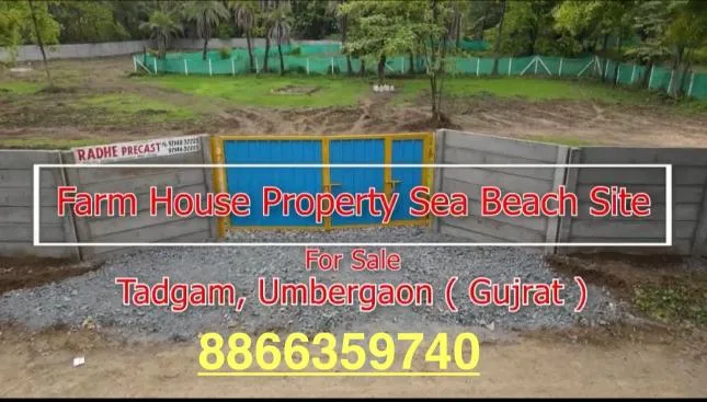 Tadgam, Umbergaon (Umargam) - 1 Acre Beachfront Plot for Sale - ₹1.4 Cr