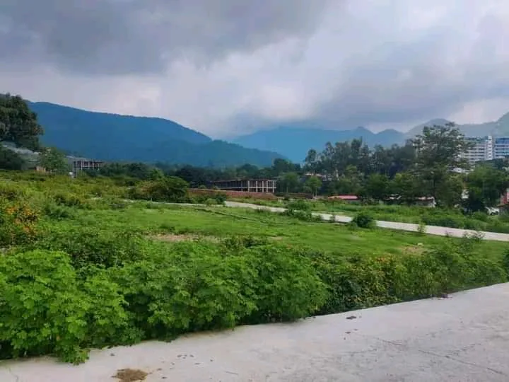 Residential Plot