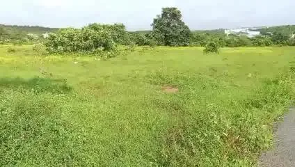 Orchard Land for Sale in Pernem, Goa – 160000 Sqm, Clear Title, ₹11K/Sqm