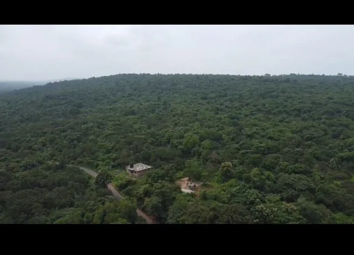 Orchard Land for Sale in Palyem, North Goa – 34+ Acres, ₹743/Sq.Ft.
