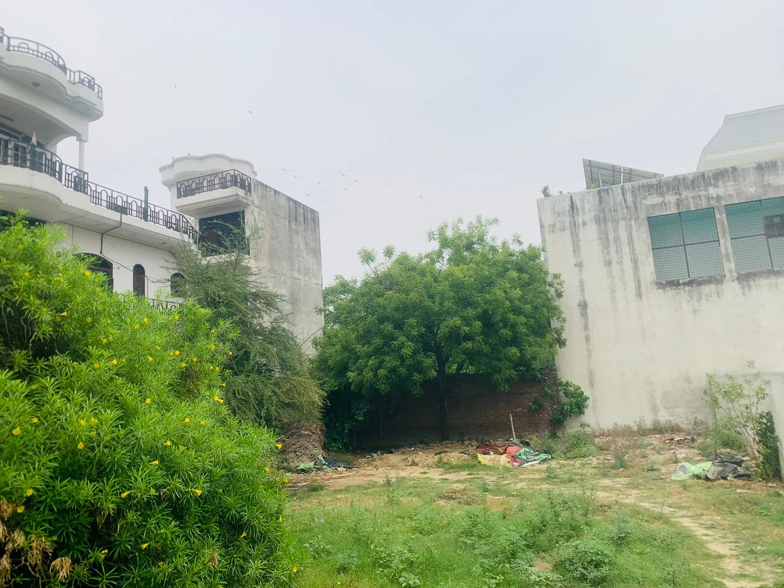 Vineet Khand Road, Gomti Nagar, Lucknow, UP