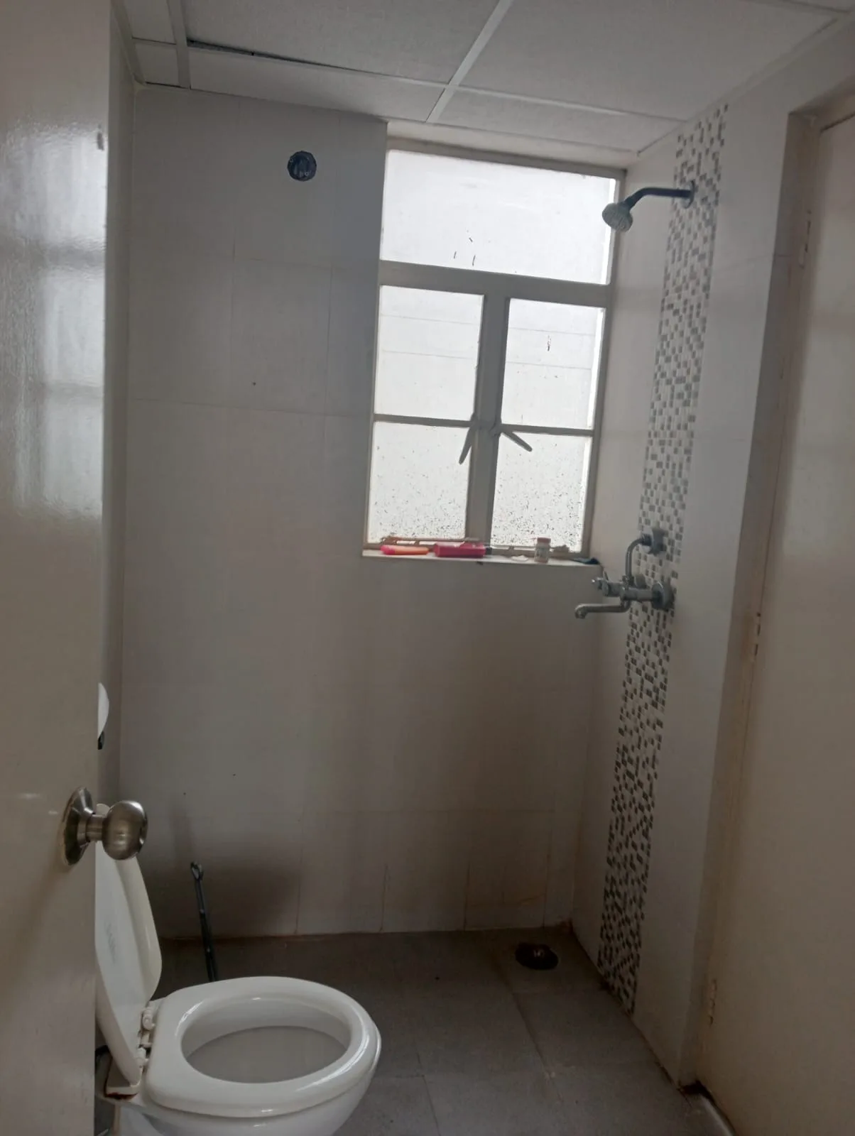 Spacious 3 BHK Row Flat with Balcony, 645 Sq Ft, in Signature Global Solera, Sector 107, Gurgaon