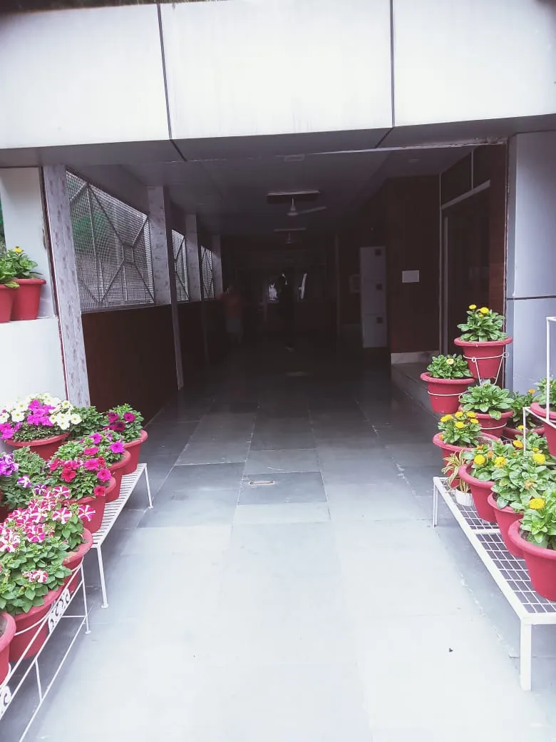Rent p house Dena hai