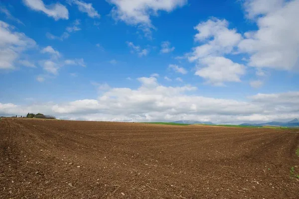 "Prime Land Opportunity with 1 Lakh Sq ft. for Shed Construction on Behrampur Road, Gurugram"