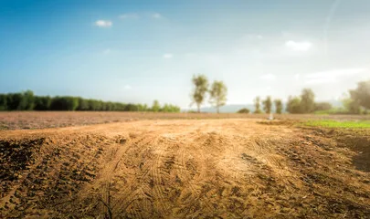 "Prime Land Opportunity with 1 Lakh Sq ft. for Shed Construction on Behrampur Road, Gurugram"