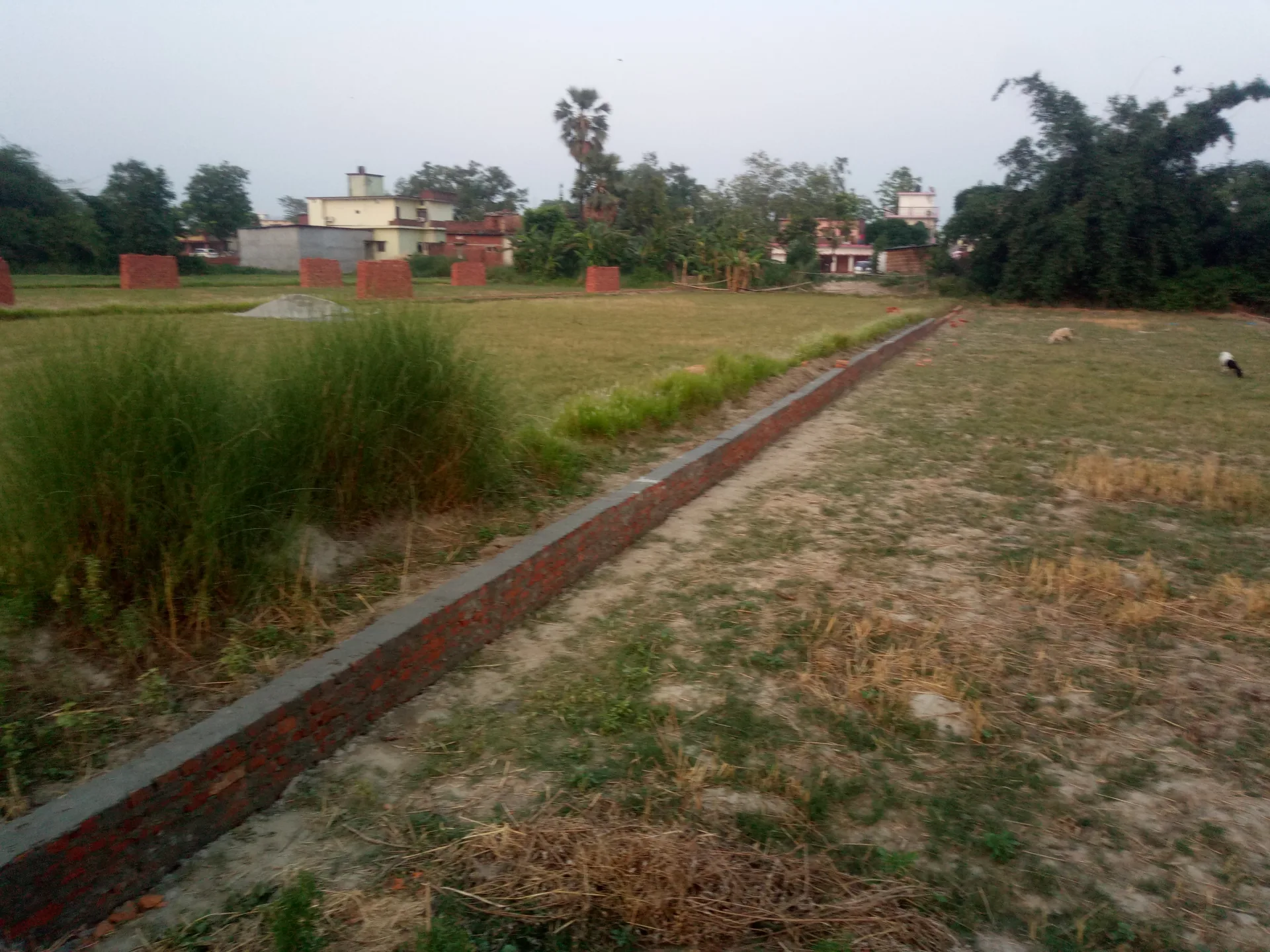 सबसे सस्ती जमीन खरीदे कुशीनगर में