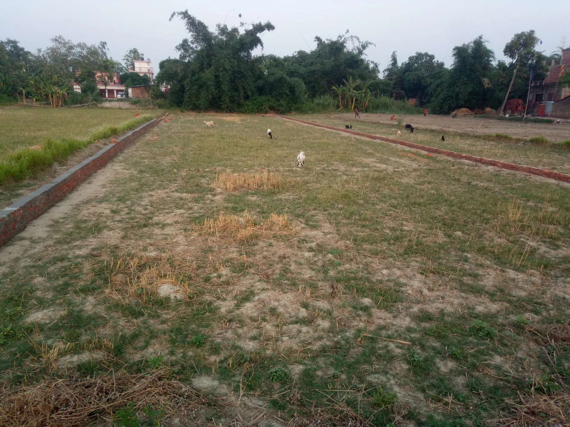 सबसे सस्ती जमीन खरीदे कुशीनगर में